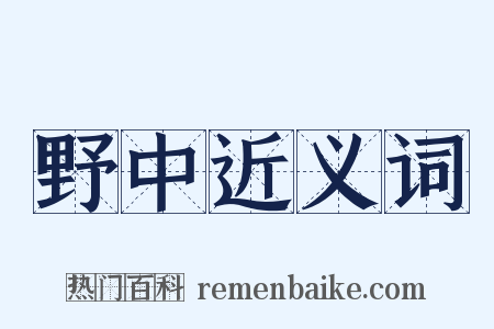 野中近义词是什么意思的图片